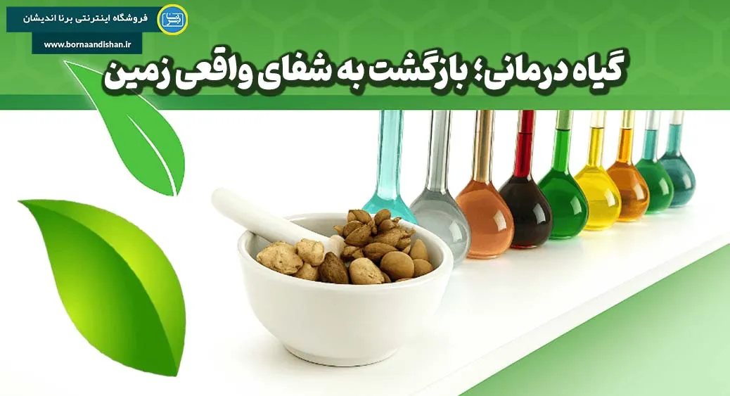 گیاه درمانی؛ از ریشه‌های کهن تا علم مدرن