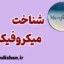 میکروفیکشن؛ روایتی کوچک با تاثیری بزرگ