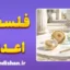 فلسفه اعداد؛ حقیقت یا ابزار ذهن؟