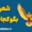 بگو کجاست؛ روایتی روان‌شناسانه از رنج تا امید