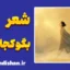 بگو کجایی؛ روایت روان انسان در جستجوی معنا