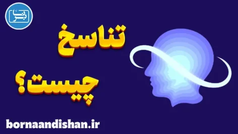 تناسخ؛ راز چرخه تولد و مرگ