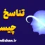 تناسخ؛ راز چرخه تولد و مرگ
