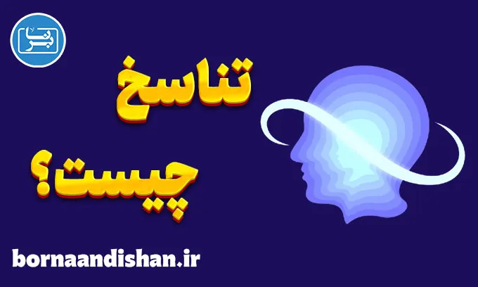 تناسخ؛ راز چرخه تولد و مرگ