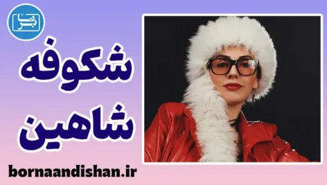 شکوفه شاهین؛ روایتی از عشق، زندگی و کلمات