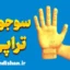 پکیج آموزش قدم به قدم سوجوک تراپی