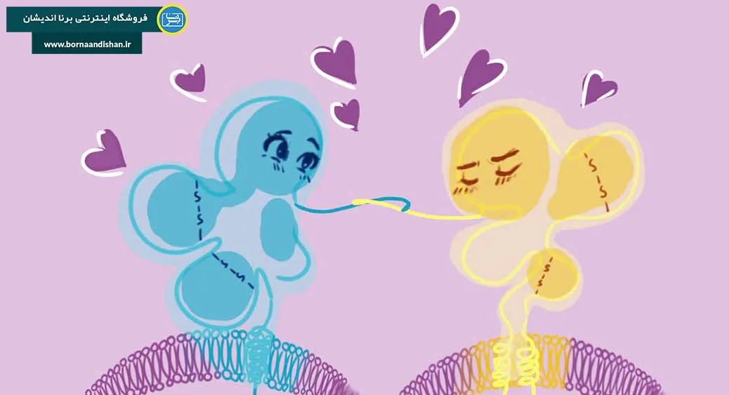 جذابیت ژنتیکی؛ رمز علمی عشق و انتخاب