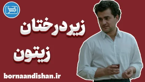 زیر درختان زیتون؛ تداوم زندگی میان ویرانه‌ها