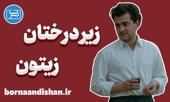 زیر درختان زیتون؛ تداوم زندگی میان ویرانه‌ها