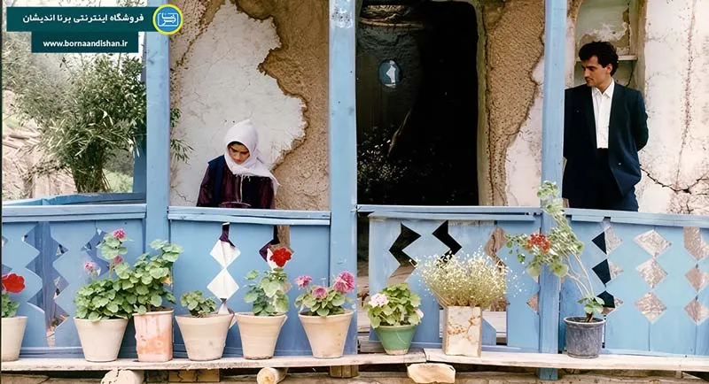 زیر درختان زیتون؛ تماشای زندگی با چشمان فلسفه