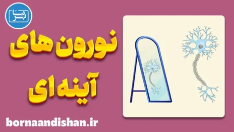 نورون های آینه ای؛ راز فهم دیگری