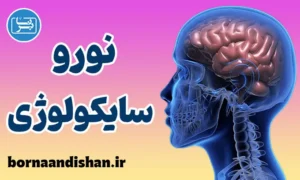 پکیج آموزش نوروسایکولوژی