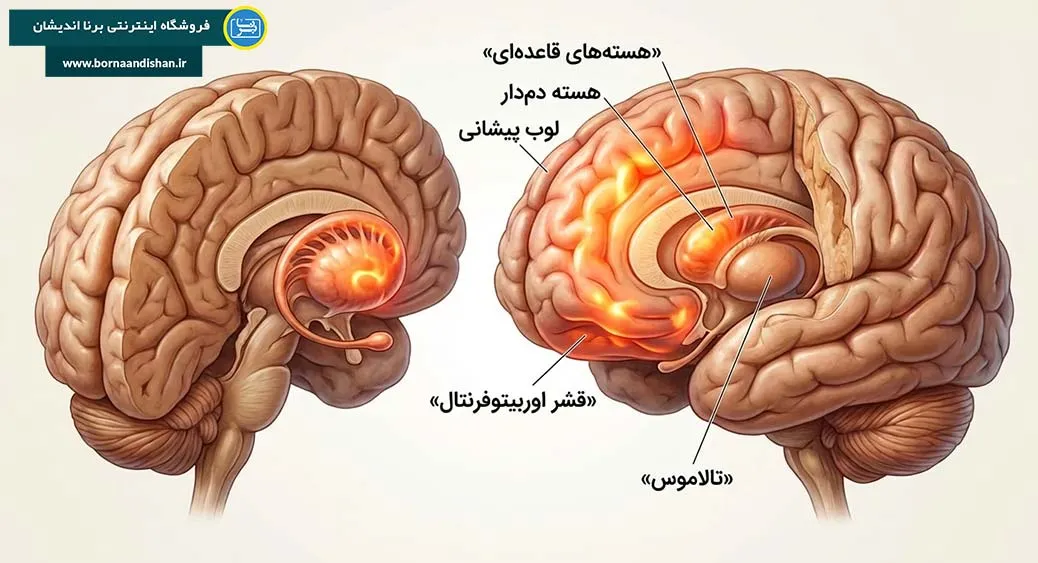 مواجهه و جلوگیری از پاسخ؛ پایان چرخه وسواس مواجهه و جلوگیری از پاسخ؛ قدمی برای زندگی بدون اجبار