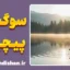 درمان سوگ پیچیده؛ راهنمای جامع روانشناختی