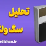 سگ ولگرد؛ فلسفه‌ی طردشدگی