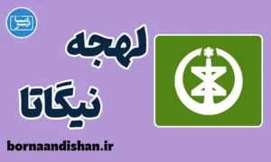 پکیج آموزش لهجه نیگاتا ژاپن