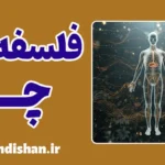فلسفه چی؛ هنر فهم جریان هستی