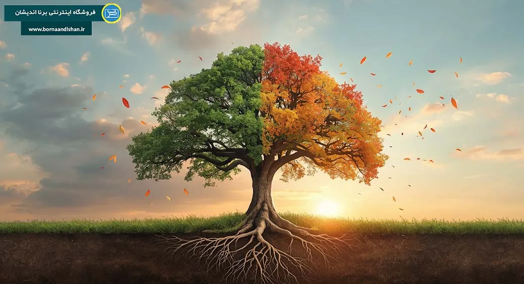 ادغام مجدد؛ بازگشت خرد به زندگی ادغام مجدد؛ نقطه اوج تحول انسان