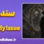 سندرم Daddy Issue: عبور از سایه پدر و التیام درون
