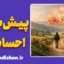 خطای پیش بینی احساسی؛ توهمی از شدت شادی و غم