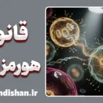 قانون هورمزیس؛ کیمیاگری با استرس‌های کوچک