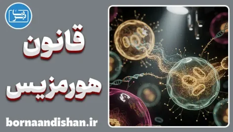 قانون هورمزیس؛ کیمیاگری با استرس‌های کوچک