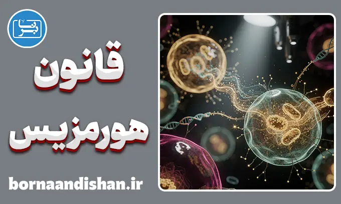 قانون هورمزیس؛ کیمیاگری با استرس‌های کوچک
