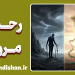 رحم و مروت؛ معامله‌ای که در آرامش سود می‌کنید