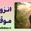 انزوای اجتماعی موقت؛ چرا گاهی از همه دور می‌شویم؟