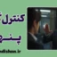 کنترل گری پنهان؛ بازی قدرت