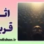 اثر قربانی قابل شناسایی: پارادوکس همدلی و راز بی‌حسی روانی