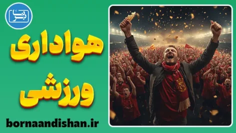 هواداری ورزشی: رازهای پنهان سکوها