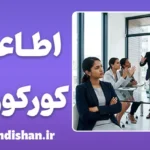 اطاعت کورکورانه؛ مرز نامرئی تعصب و اعتماد علمی