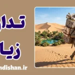 تداوم زیان؛ چرا رها نمی‌کنیم؟
