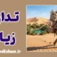 تداوم زیان؛ چرا رها نمی‌کنیم؟