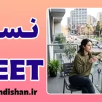 نسل NEET؛ جوانان خارج از چرخه