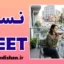 نسل NEET؛ جوانان خارج از چرخه