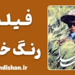فیلم رنگ خدا؛ شاهکار جاودانه مجید مجیدی