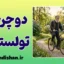 دوچرخه تولستوی؛ فرمول طلایی شروع دوباره در هر سن