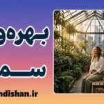بهره‌وری سمی؛ زندان موفقیت