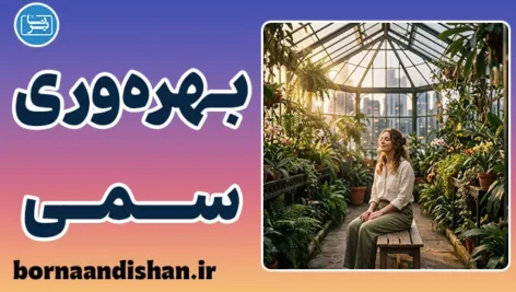 بهره‌وری سمی؛ زندان موفقیت