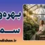 بهره‌وری سمی؛ زندان موفقیت