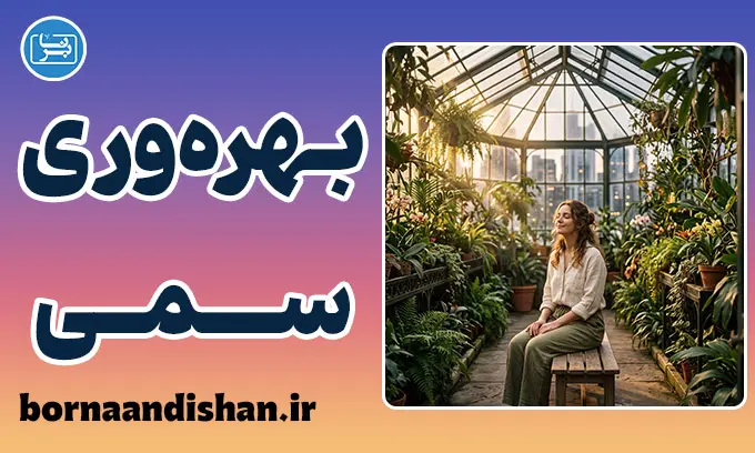 بهره‌وری سمی؛ زندان موفقیت
