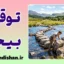 توقع بیجا؛ کلید روابط سالم و محترمانه