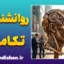 پکیج روانشناسی تکاملی به صورت جامع