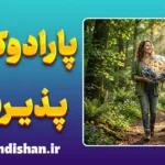 پارادوکس پذیرش؛ آغاز درمان ذهن