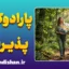 پارادوکس پذیرش؛ آغاز درمان ذهن