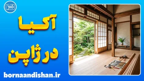 آکیا چیست؟ فرصتی طلایی در ژاپن
