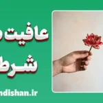 تله عافیت‌طلبی شرطی؛ چرا خوبی بی‌حدومرز ویرانگر است؟