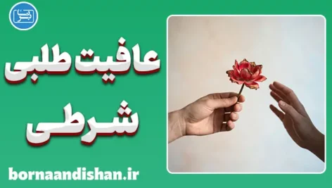 تله عافیت‌طلبی شرطی؛ چرا خوبی بی‌حدومرز ویرانگر است؟